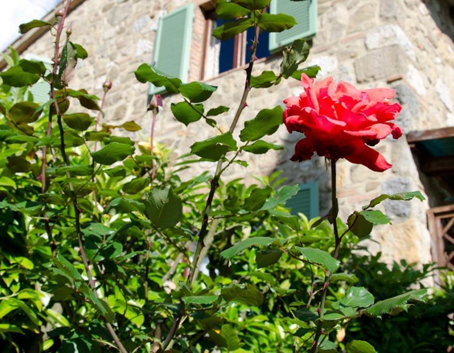 Tenuta Colombaio Casole dʼElsa Kültér fotó